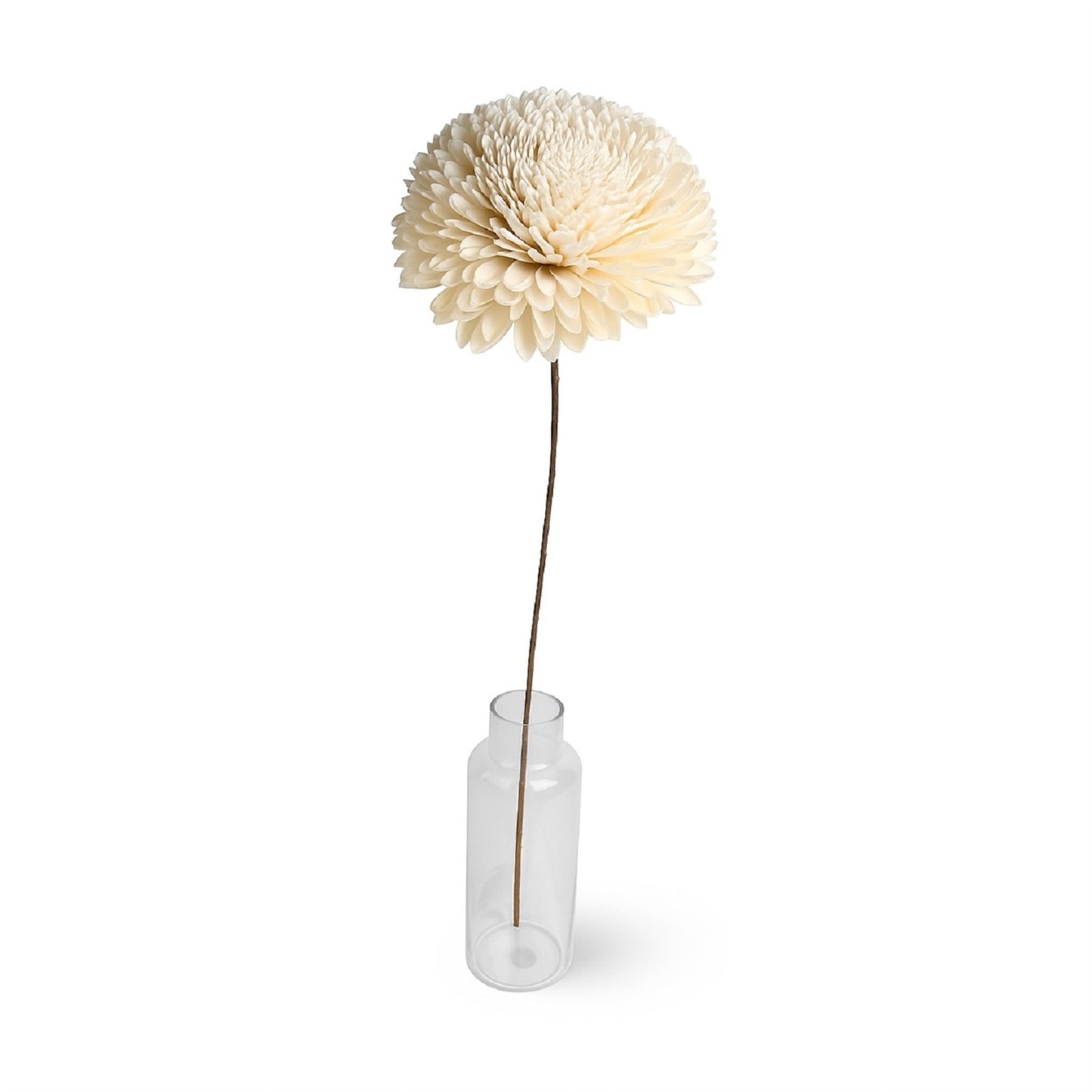 Dried Flowers