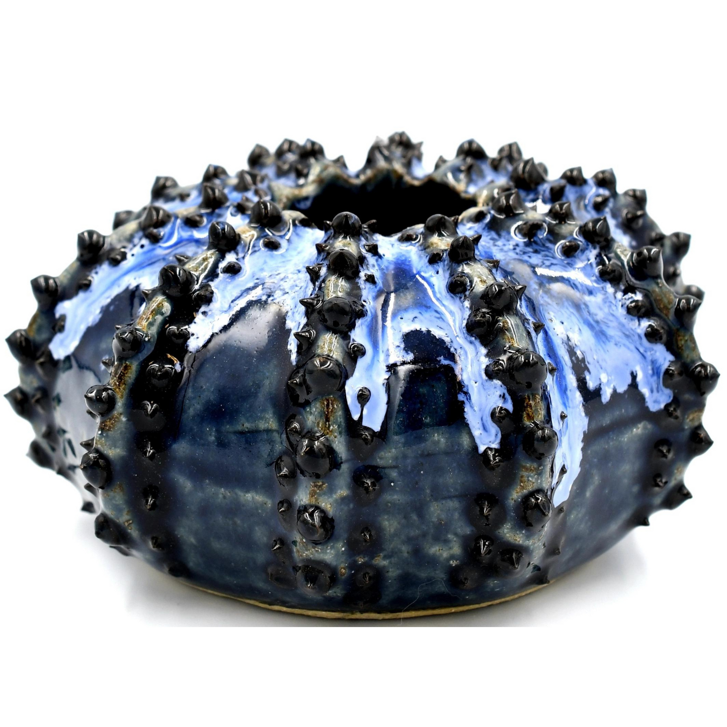 Sea Urchin Vase