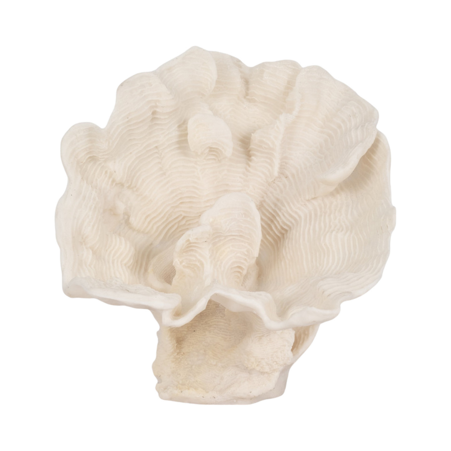 Coral Fan Centerpiece
