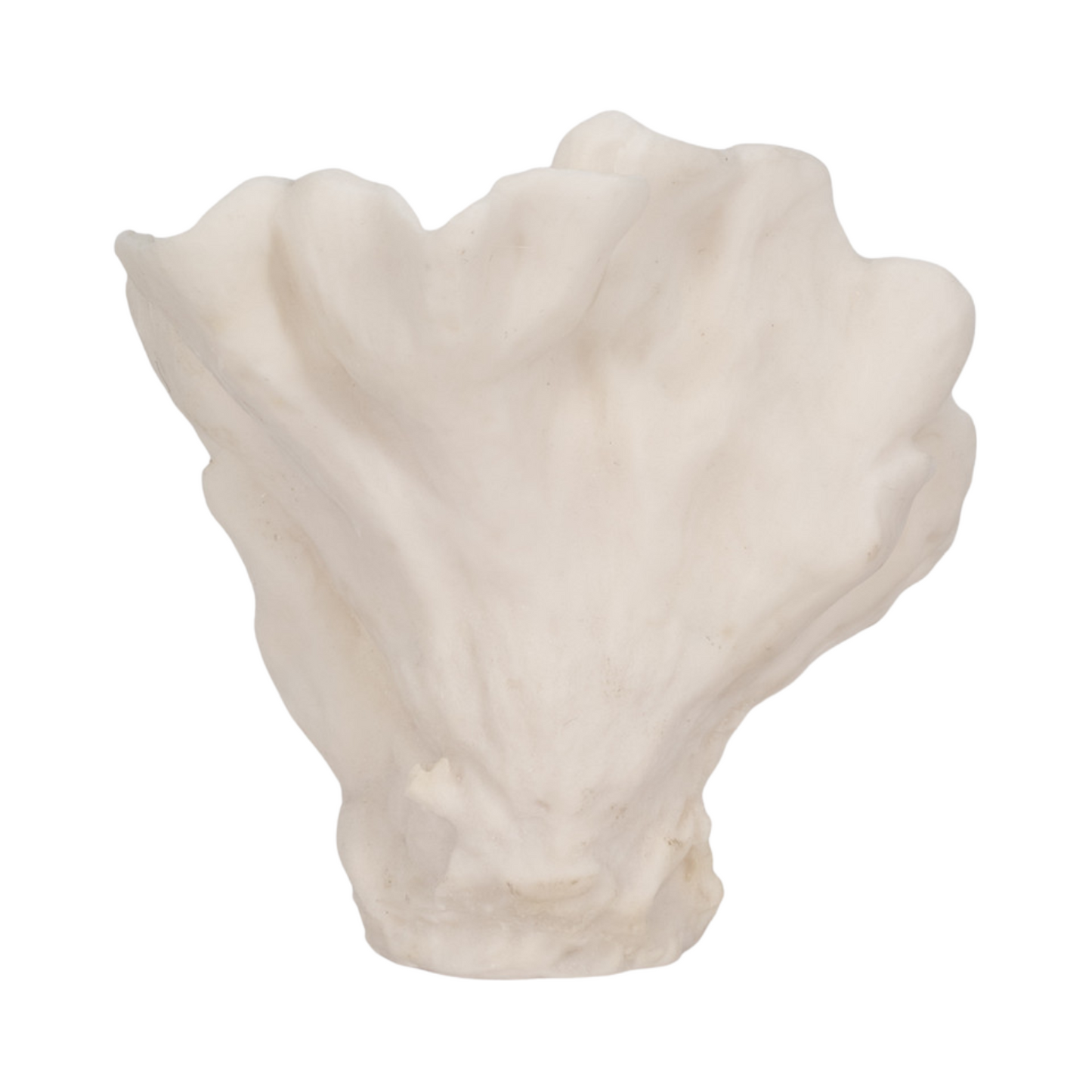 Coral Fan Centerpiece