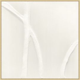 White Curves