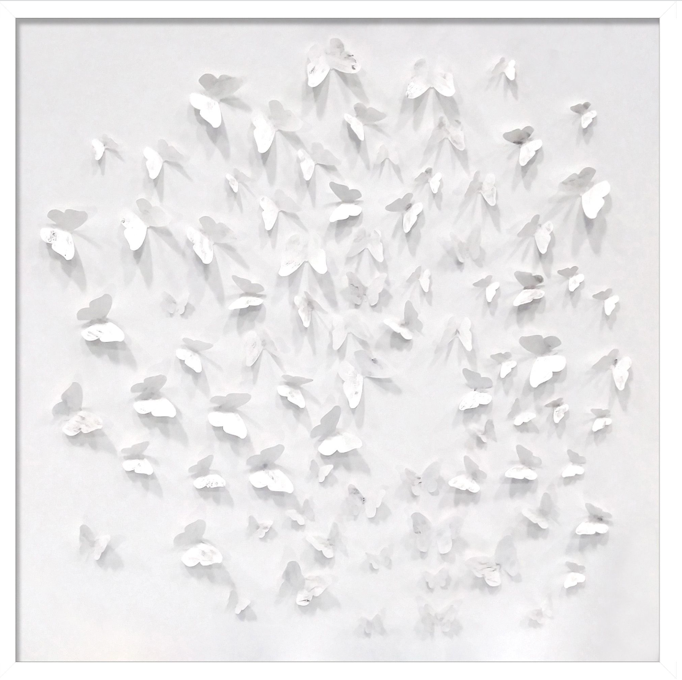 Silver Butterfly Shadowbox