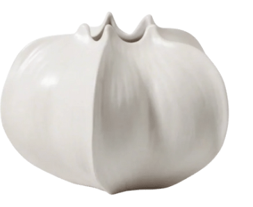 Mini Starfruit Vases