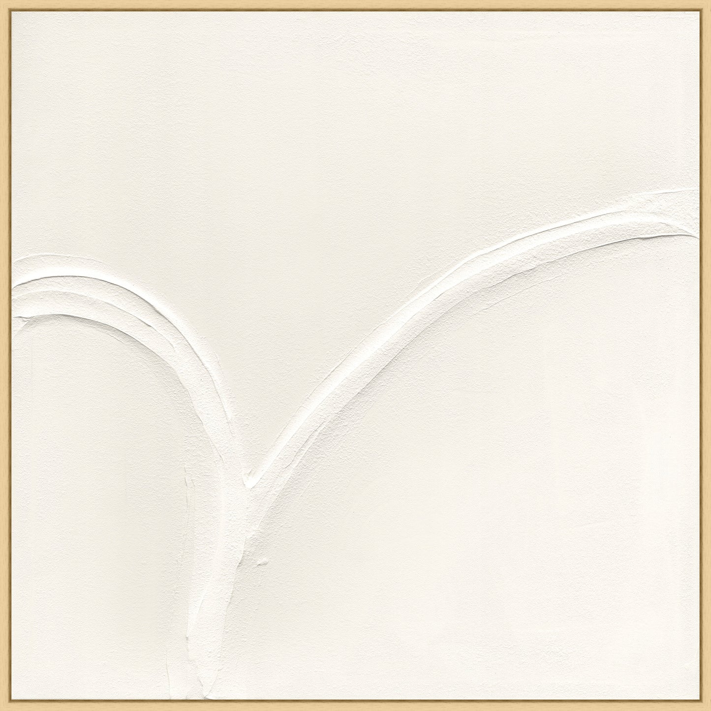 White Curves