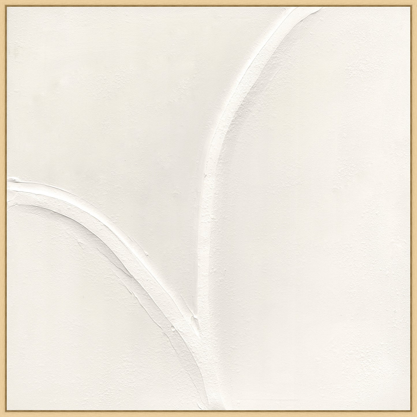 White Curves