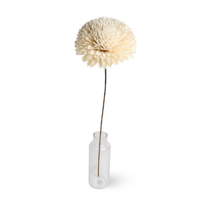 Dried Flowers