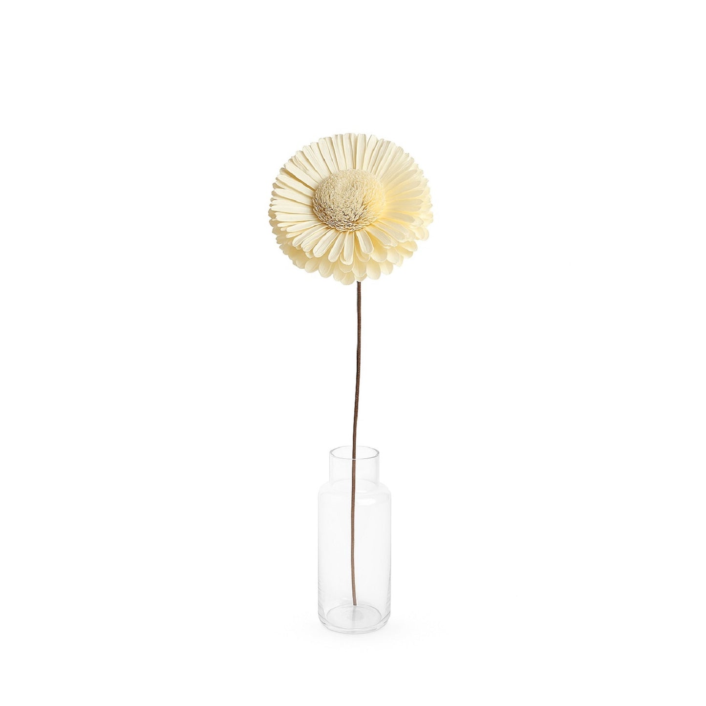 Dried Flowers