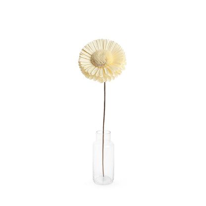 Dried Flowers