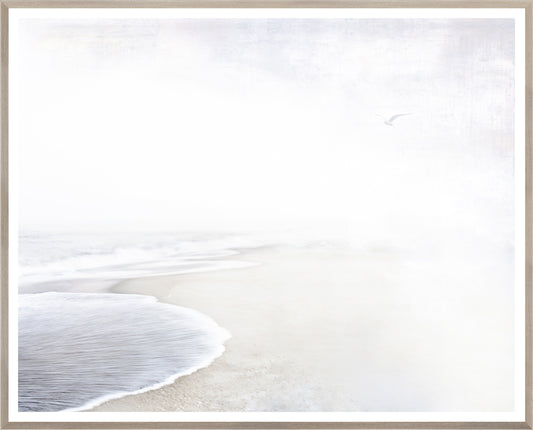 Ebb Tide