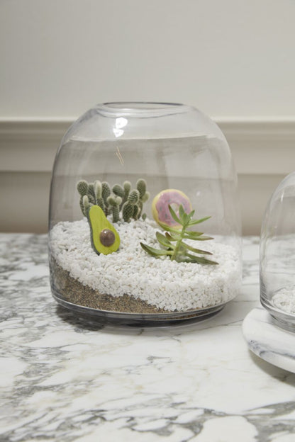Glass Terrarium