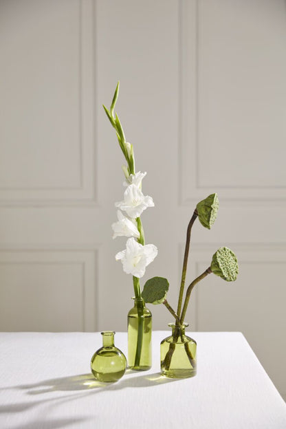 Glass Budvase (Set of 3)