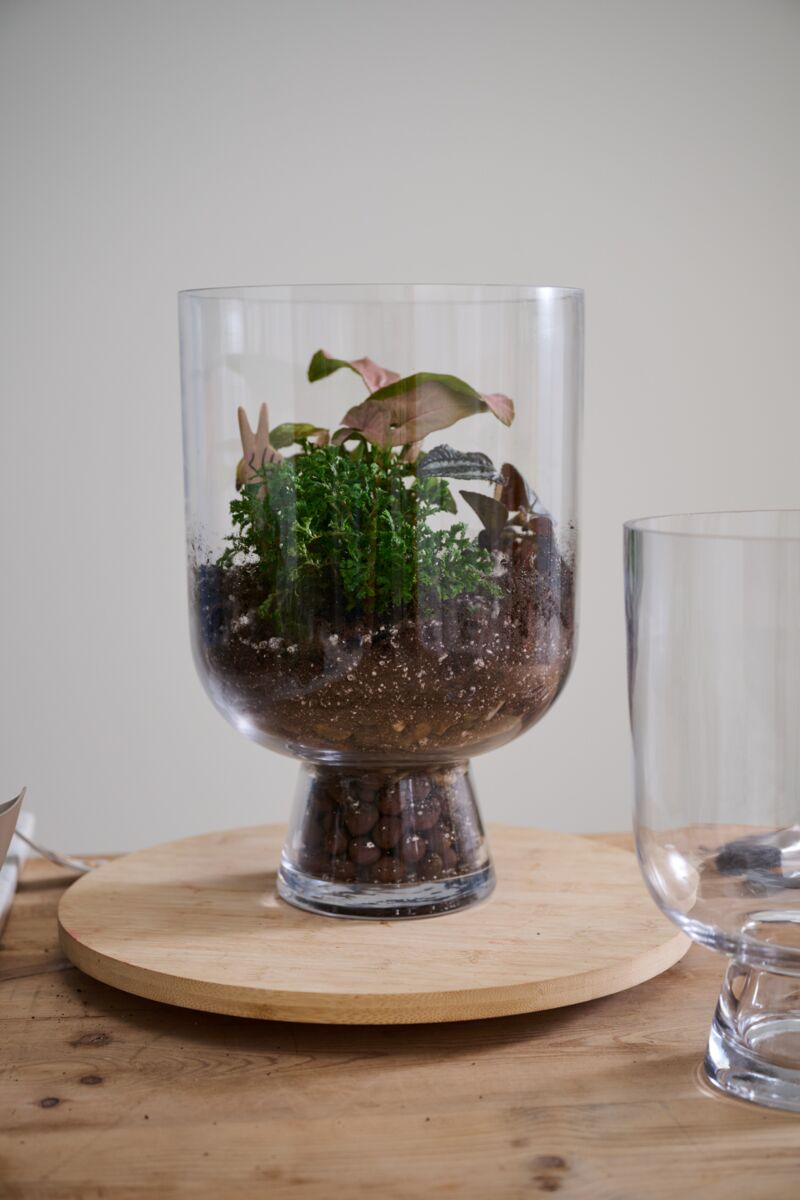Glass Terrarium