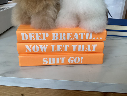 Deep Breath Book Decor