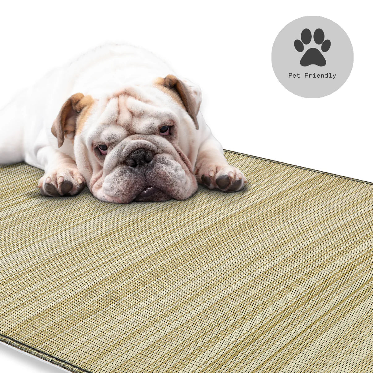 Cancun Shadow Indoor/Outdoor Rug