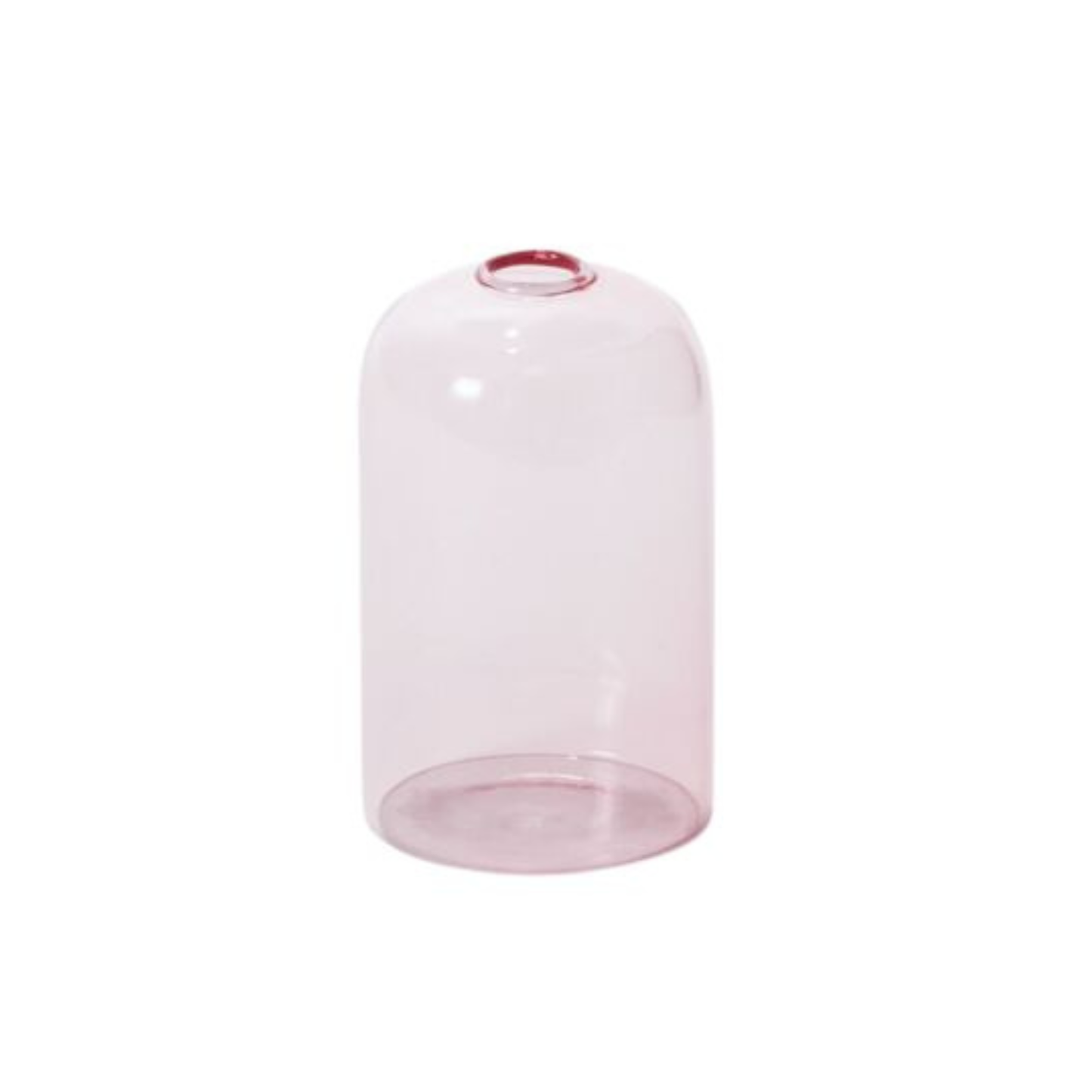 Highball Glass Bud Vases