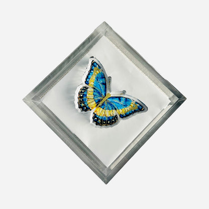 Acrylic Napkin Weights