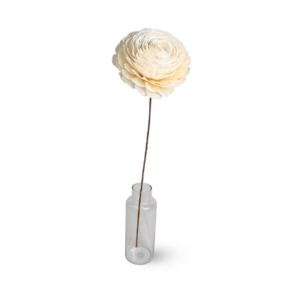 Dried Flowers