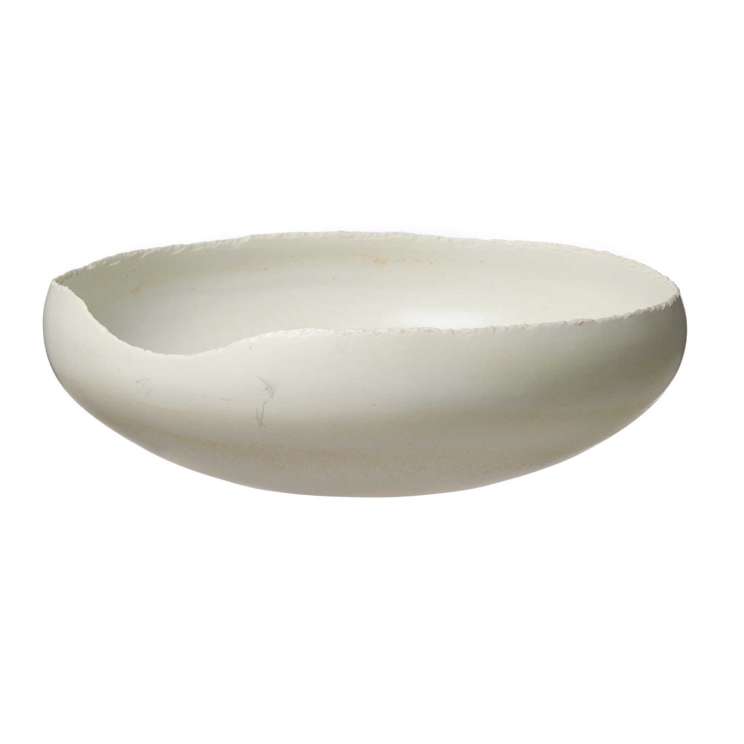 Organic White Porcelain Bowl