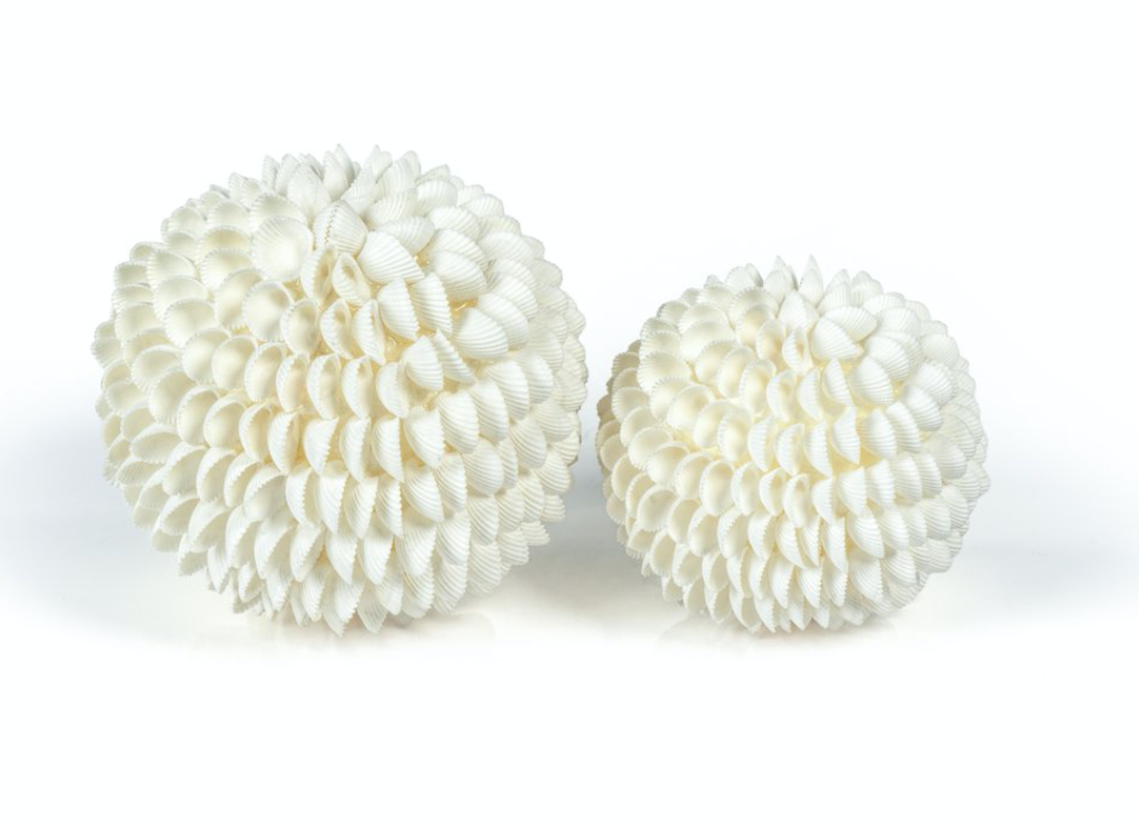 Natural Clamrose Seashell Ball