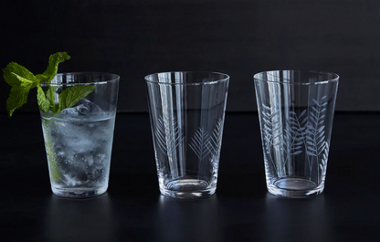 Siena Etched Water Glass Set